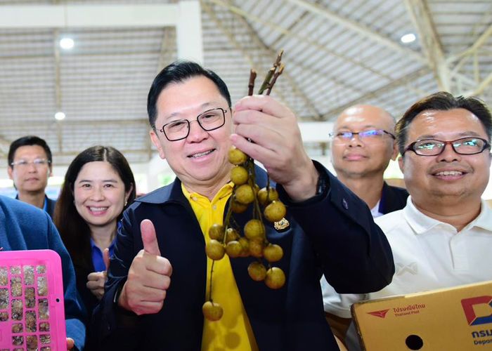 'จตุพร' ขอบคุณพลัง 'ไทยช่วยไทย' ดันราคาลำไย รูดร่วงเกรด AA ขยับสูงขึ้นแตะ 13 บาท/กก.