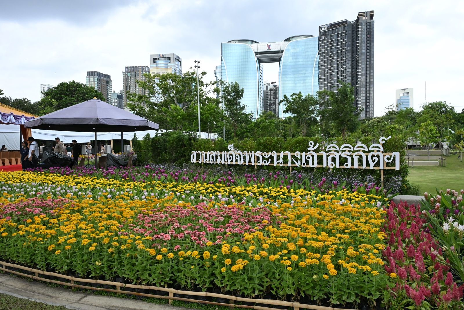 S__8339536_0.jpg