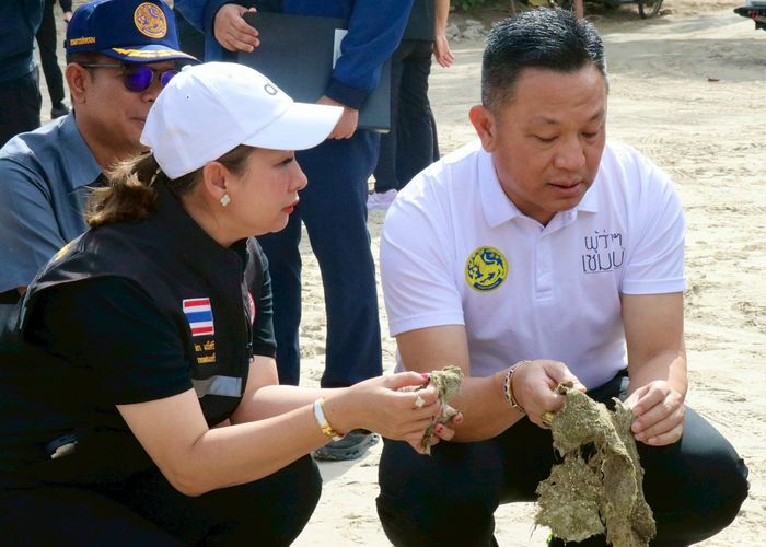 ภูเก็ตเร่งคลี่คลายสาหร่ายหาดป่าตอง สั่ง “ปรับระยะจอด” เรือสำราญห่างฝั่ง 3 กม. ศึกษาสาเหตุเชิงวิชาการระยะยาว