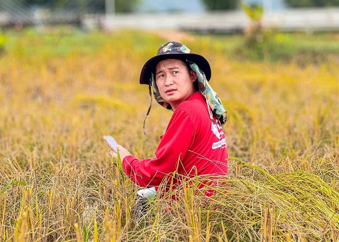 สส.ชนะวุธ เล็งหารือสภาฯ สนับสนุนเมล็ดพันธุ์ และหาตลาดเพิ่มมูลค่าให้ 'ข้าวเขาวง GI'