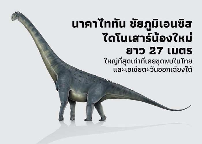 นาคาไททัน ชัยภูมิเอนซิส ไดโนเสาร์น้องใหม่ยาว 27 เมตร ใหญ่ที่สุดเท่าที่เคยขุดพบในไทยและเอเชียตะวันออกเฉียงใต้