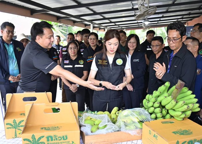 รมช.ปิยะรัฐชย์ เผย ก.เกษตรฯ พร้อมดัน 'กล้วยหอมทองไทย' สู่พืชเศรษฐกิจยุทธศาสตร์