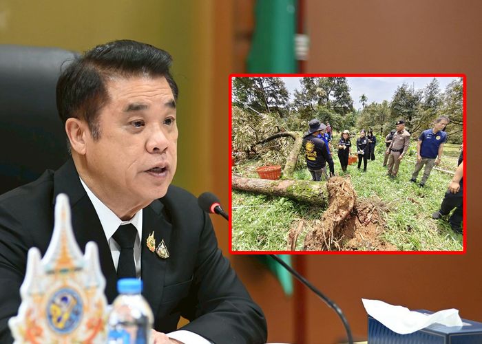 'รมว.สุริยะ' สั่งด่วนเร่งช่วยเกษตรกรเจอพายุฤดูร้อนทุกพื้นที่ จัดจุดรับซื้อทุเรียนร่วงคุณภาพดีแปรรูปลดผลกระทบต่อรายได้