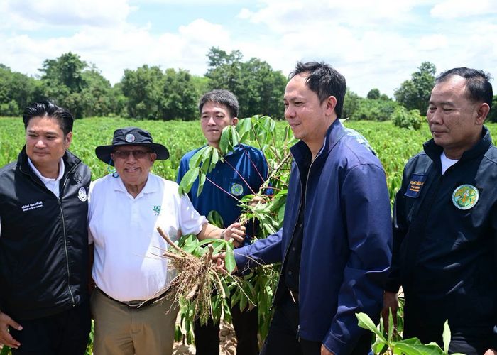 'สรวุฒิ' หนุนโครงการธนาคารต้นพันธุ์สะอาด แก้วิกฤตใบด่างมันสำปะหลังสู่เกษตรมูลค่าสูงอย่างยั่งยืน