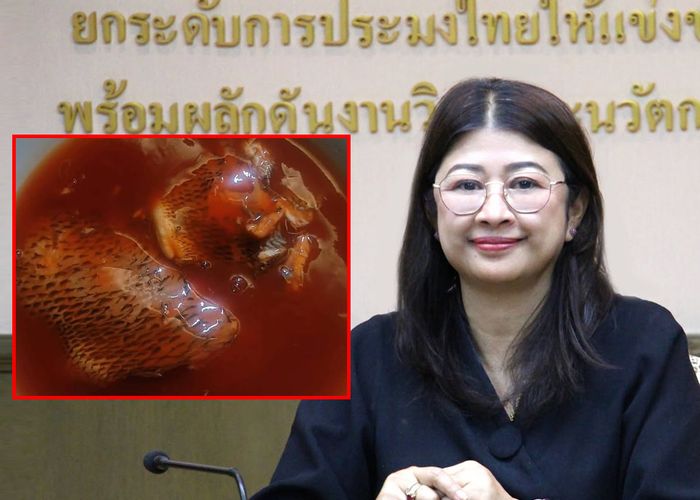 กรมประมงแจงผลตรวจปลากระป๋องเป็นไปตามมาตรฐานสากล ย้ำตัวอย่างที่ได้รับเป็น 'ปลานิล' และ 'ปลาซาร์ดีน'