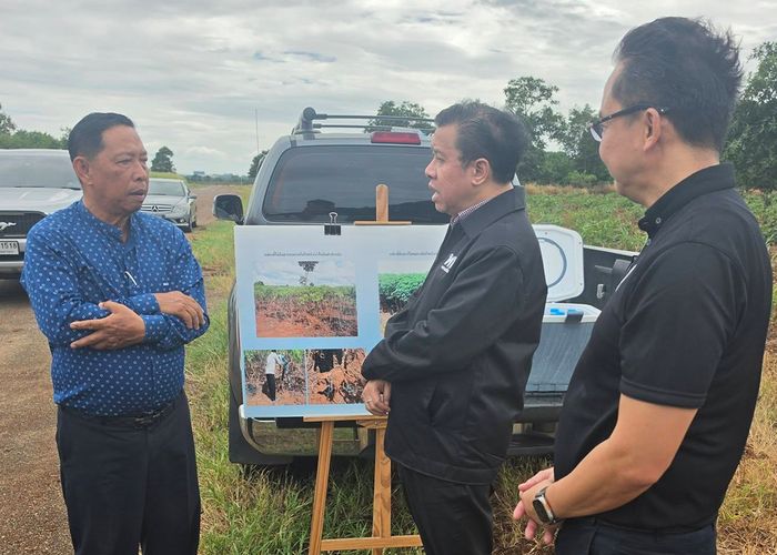 'จักรภพ' ชี้วิกฤตมันสำปะหลังโคราช ผลผลิตทรุดไม่ถึงครึ่งตลาดต้องการ เร่งปั้น Sandbox แก้โรคใบลาย