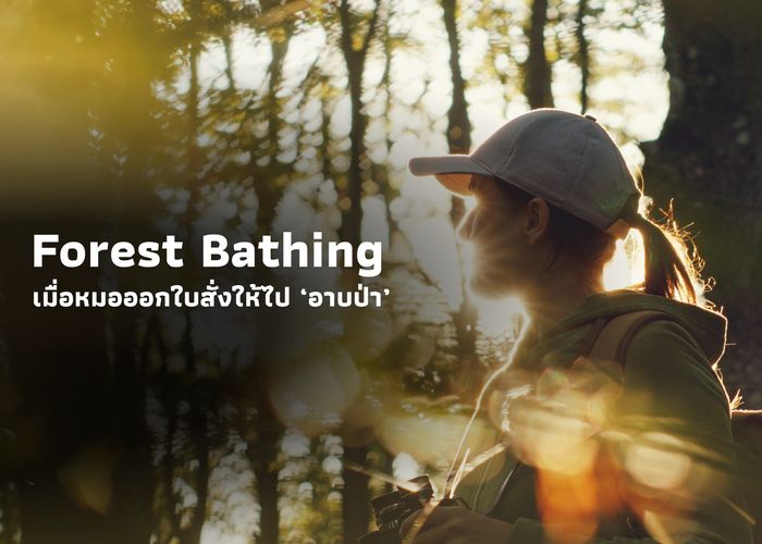 Forest Bathing เมื่อหมอออกใบสั่งให้ไป ‘อาบป่า’