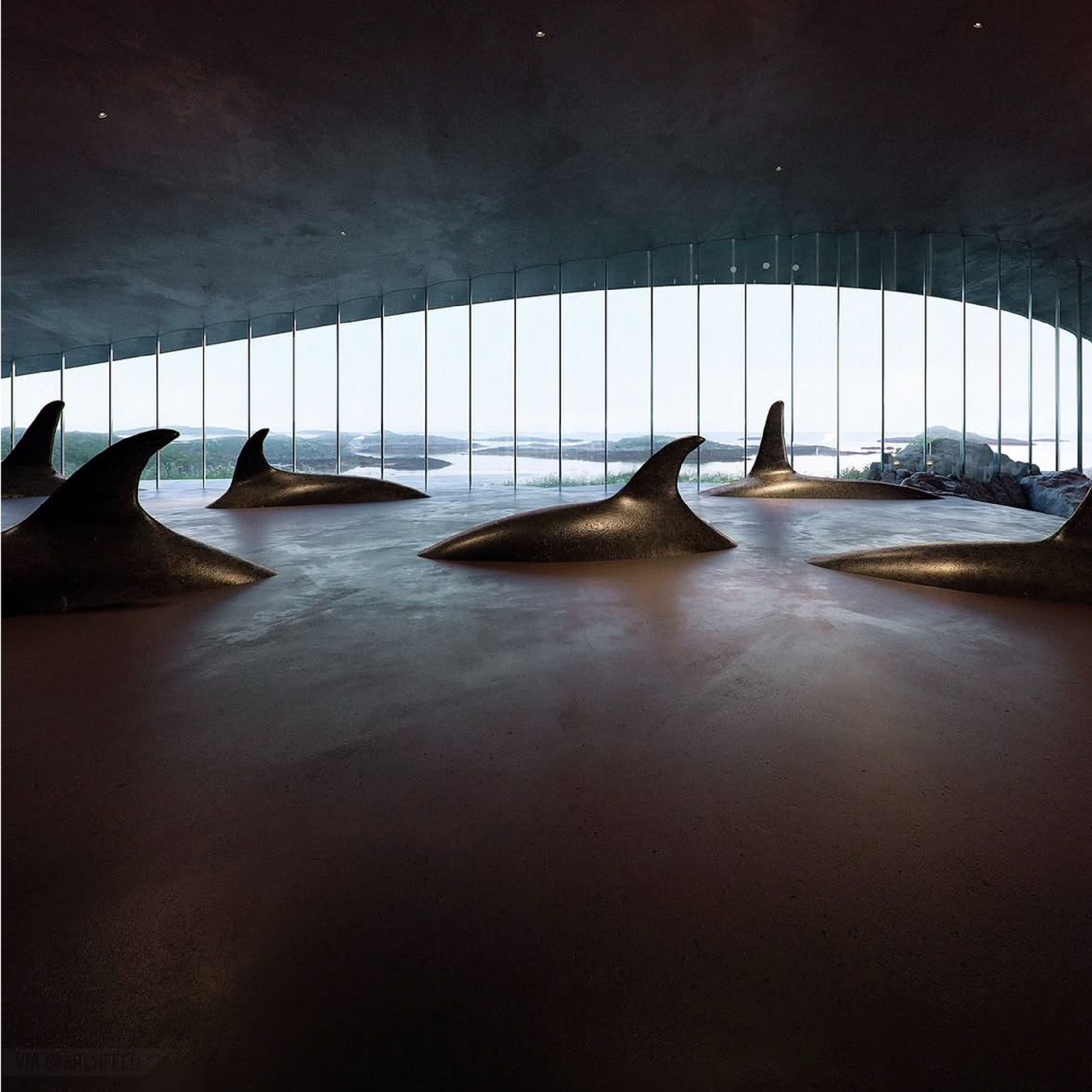 The Whale 