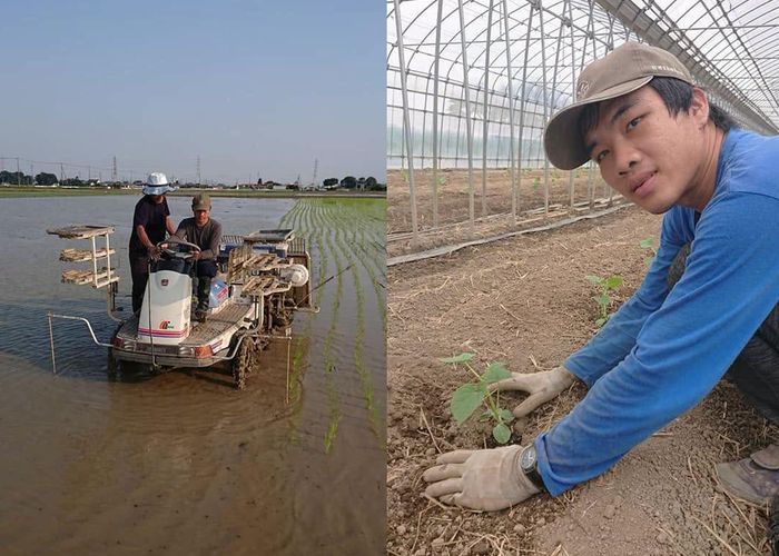 'นุชา บุญมา' ตัวแทนยุวชนเกษตรไทย เปิดประสบการณ์ 'ฝึกงานทำการเกษตร' ที่ประเทศญี่ปุ่น  11 เดือน