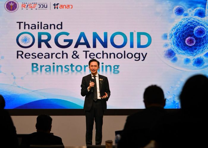 'ยศชนัน' ดันเทคโนโลยี 'ออร์แกนอยด์' อวัยวะจำลองขนาดจิ๋ว พาไทยผงาดผู้นำการแพทย์แม่นยำ ปั้นเศรษฐกิจสุขภาพบนฐานวิทยาศาสตร์
